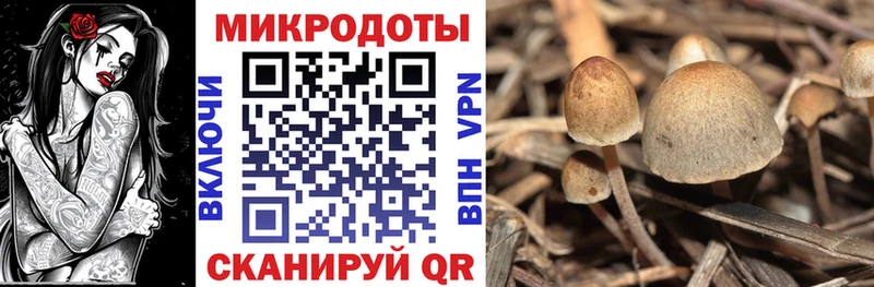 Псилоцибиновые грибы мухоморы  Чехов 